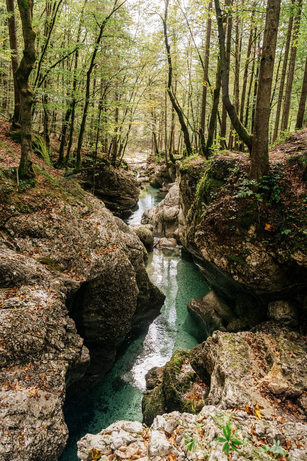 Utazás